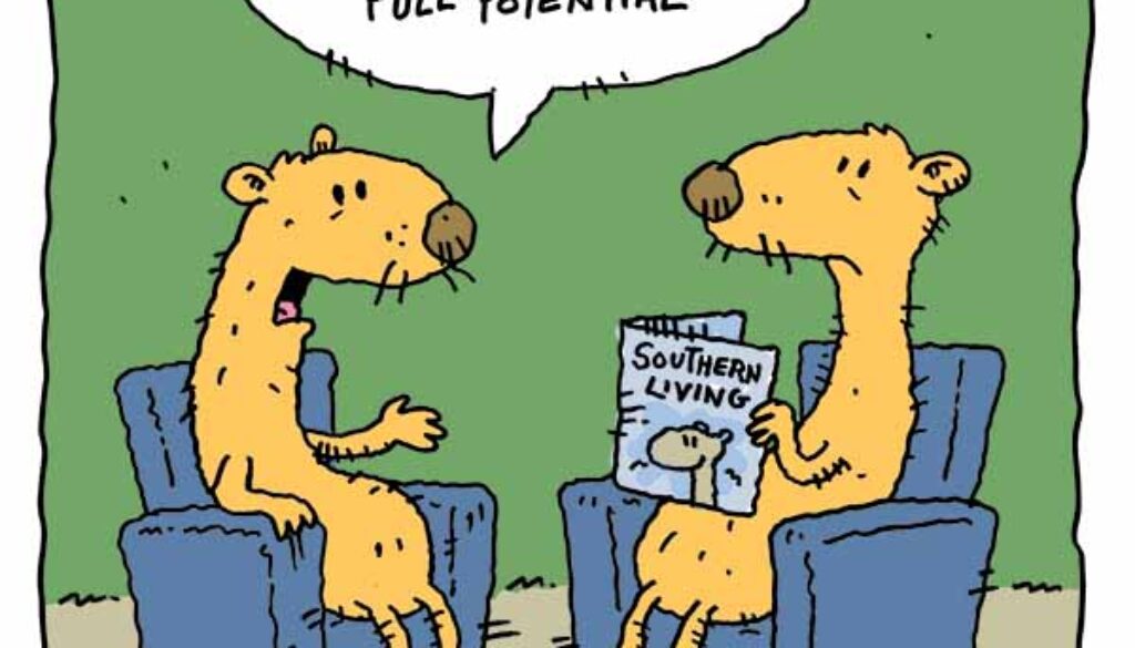 a weasel dad joke