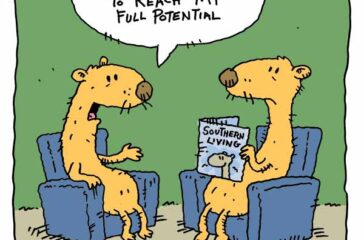 a weasel dad joke