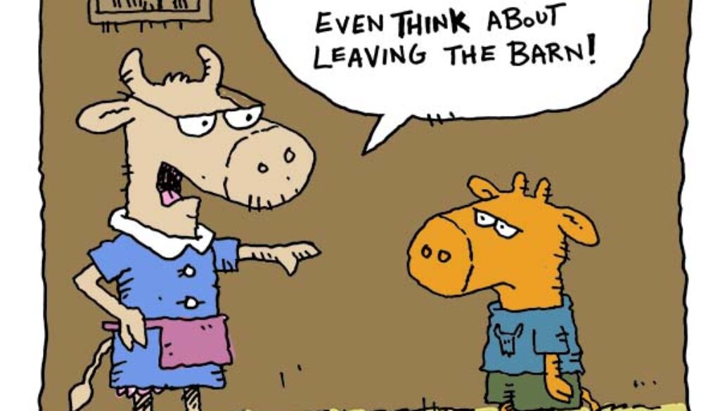 a dad joke about cows