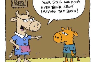 a dad joke about cows