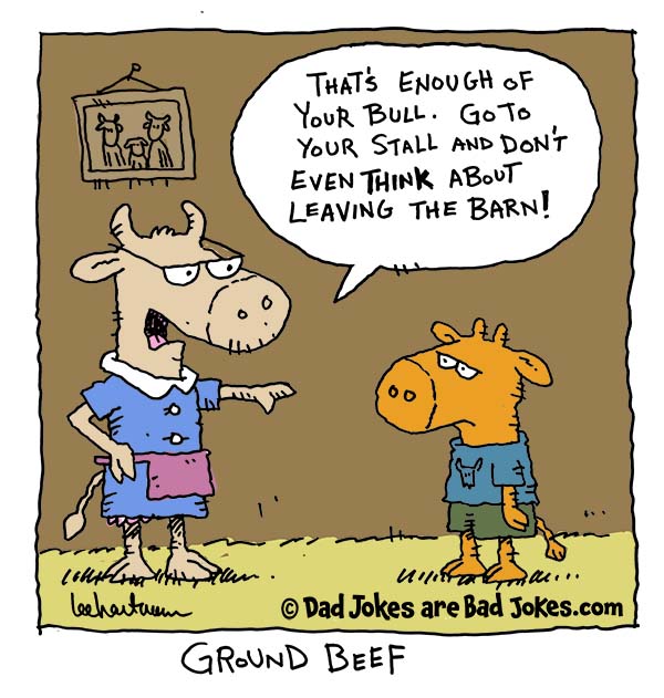 A cow dad joke